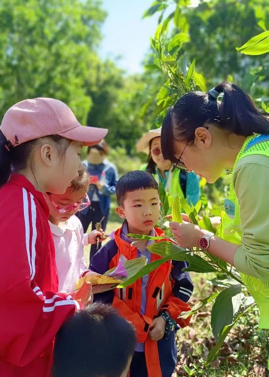 1681287046986024862.jpg 126.jpg