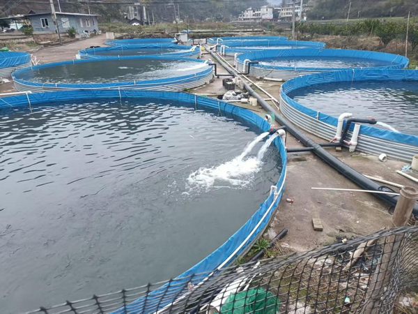 图片 2_调整大小.png