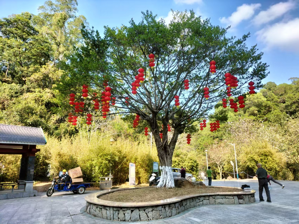 图片 1_调整大小.png