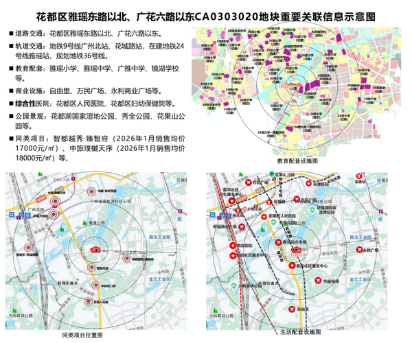 图片 3_调整大小.png