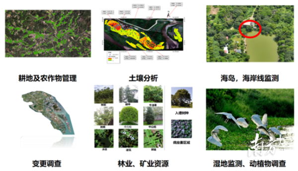 图片9.png